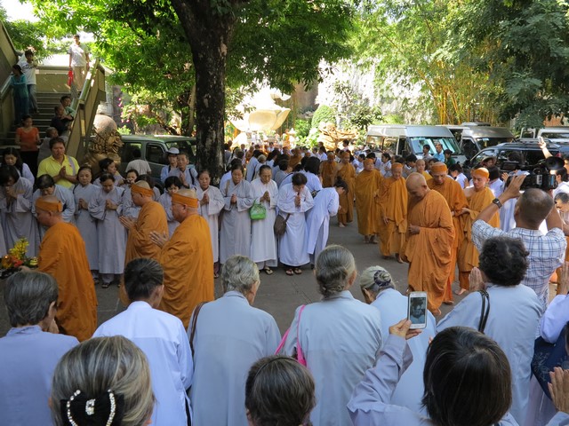 IMG 3096 Copy
