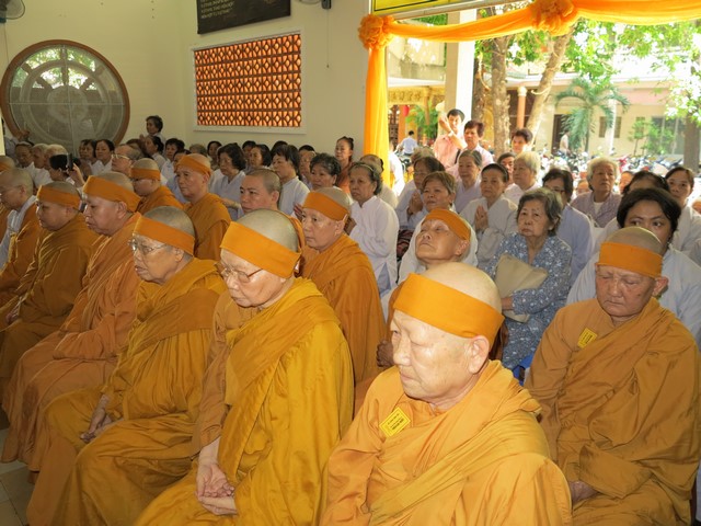 IMG 3102 Copy