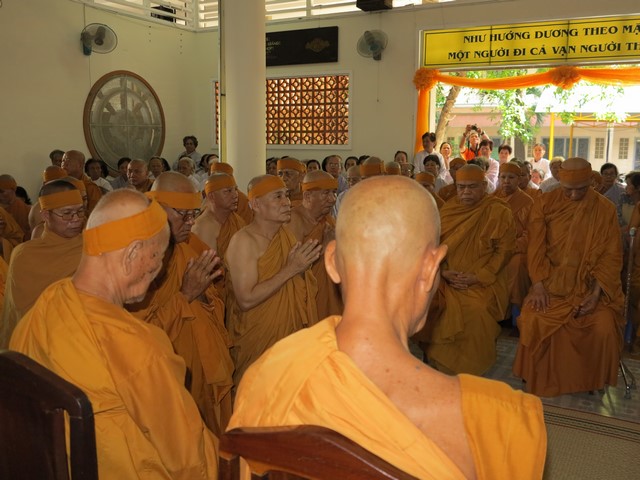 IMG 3107 Copy