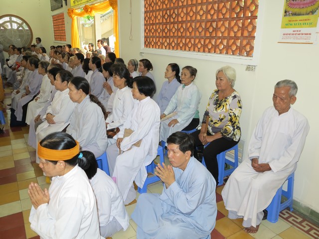 IMG 3110 Copy