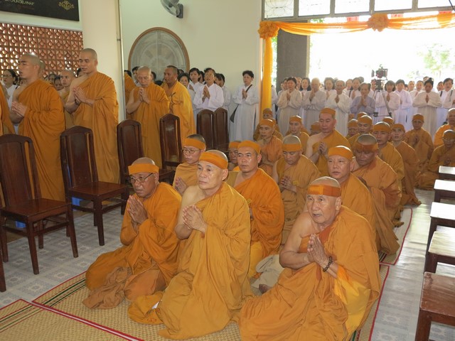 IMG 3144 Copy