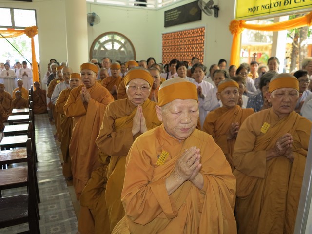 IMG 3145 Copy