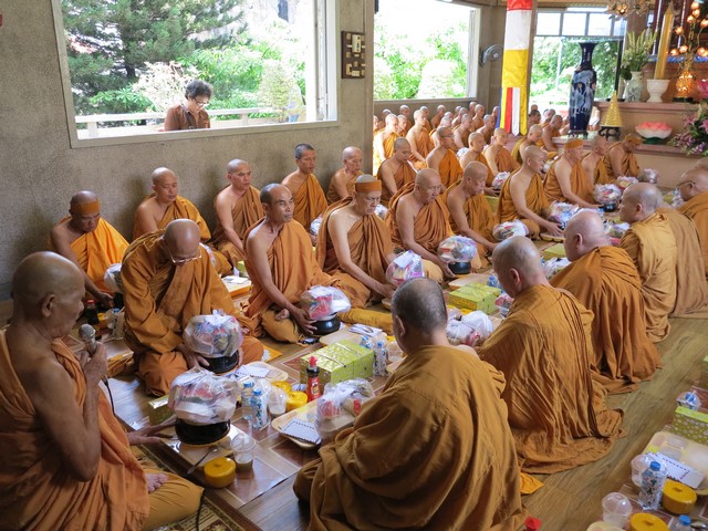 IMG 3154 Copy