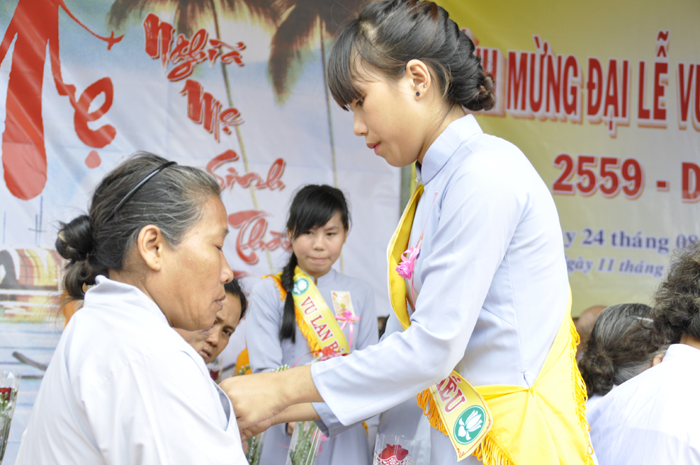 NNhu5