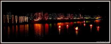 images 21
