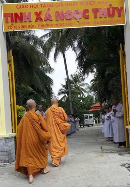 ngay4 11