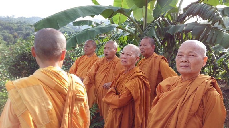 ngay4 5