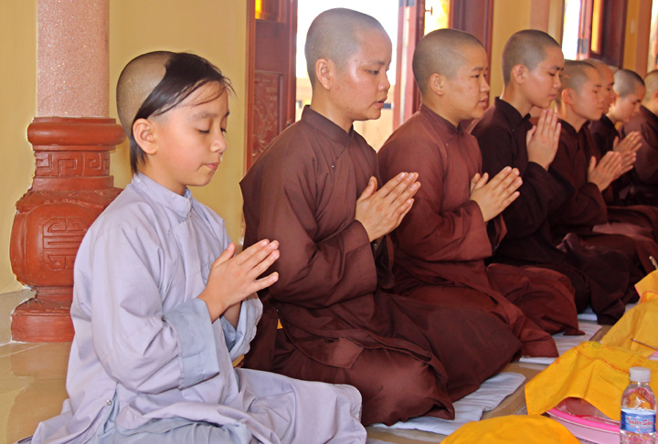 16.daophatkhatsi.net