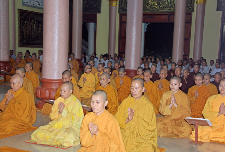 4.daophatkhatsi.net