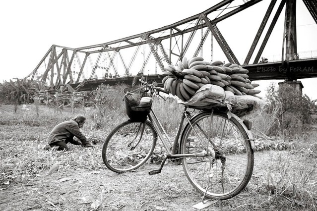 282309 295254747250594 1319005511 n